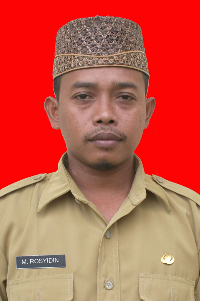 M. ROSYIDIN